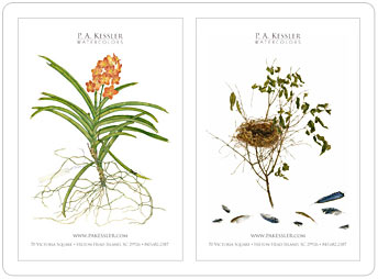 P.A. Kessler - Botanical Artist