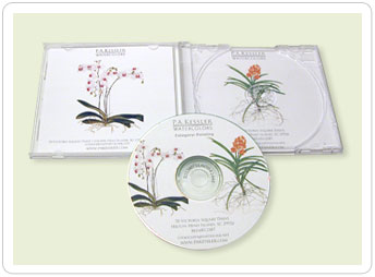 P.A. Kessler - Botanical Artist