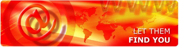 300Pix SEO Services