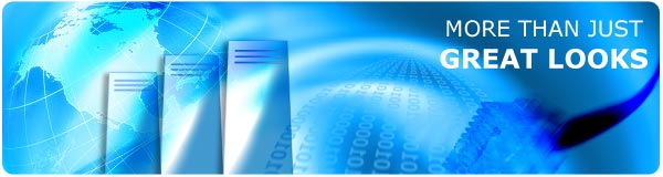 300Pix Web Development Services